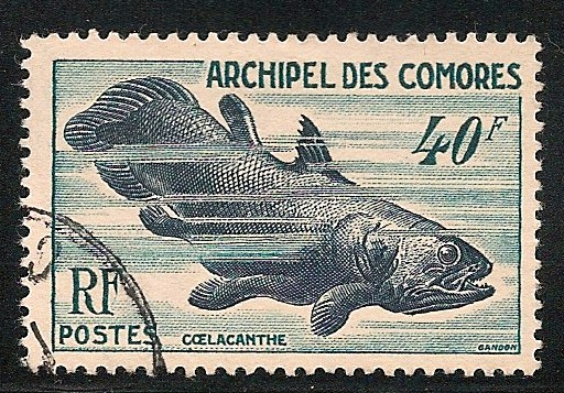 A Comorian stamp expressing the country's relationship to the "most beautiful fish"